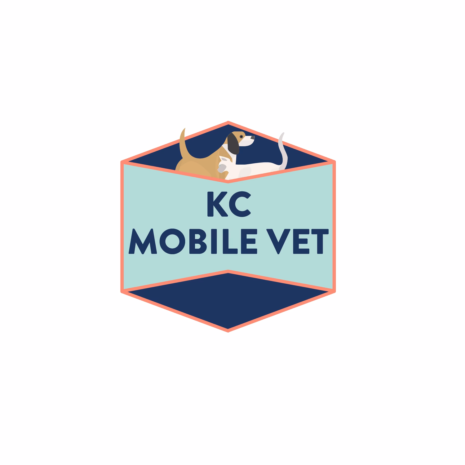 What is a mobile vet clinic?