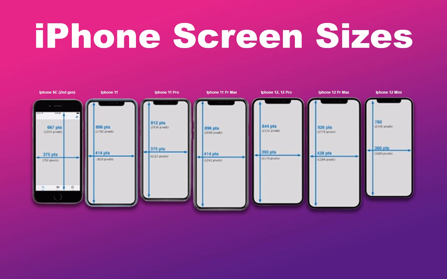 What is the largest iPhone ever made?