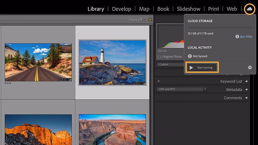 What is Lightroom Mobile sync?