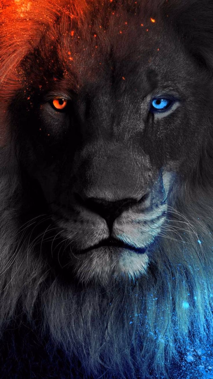 What is the size of the Lion wallpaper for iPhone?