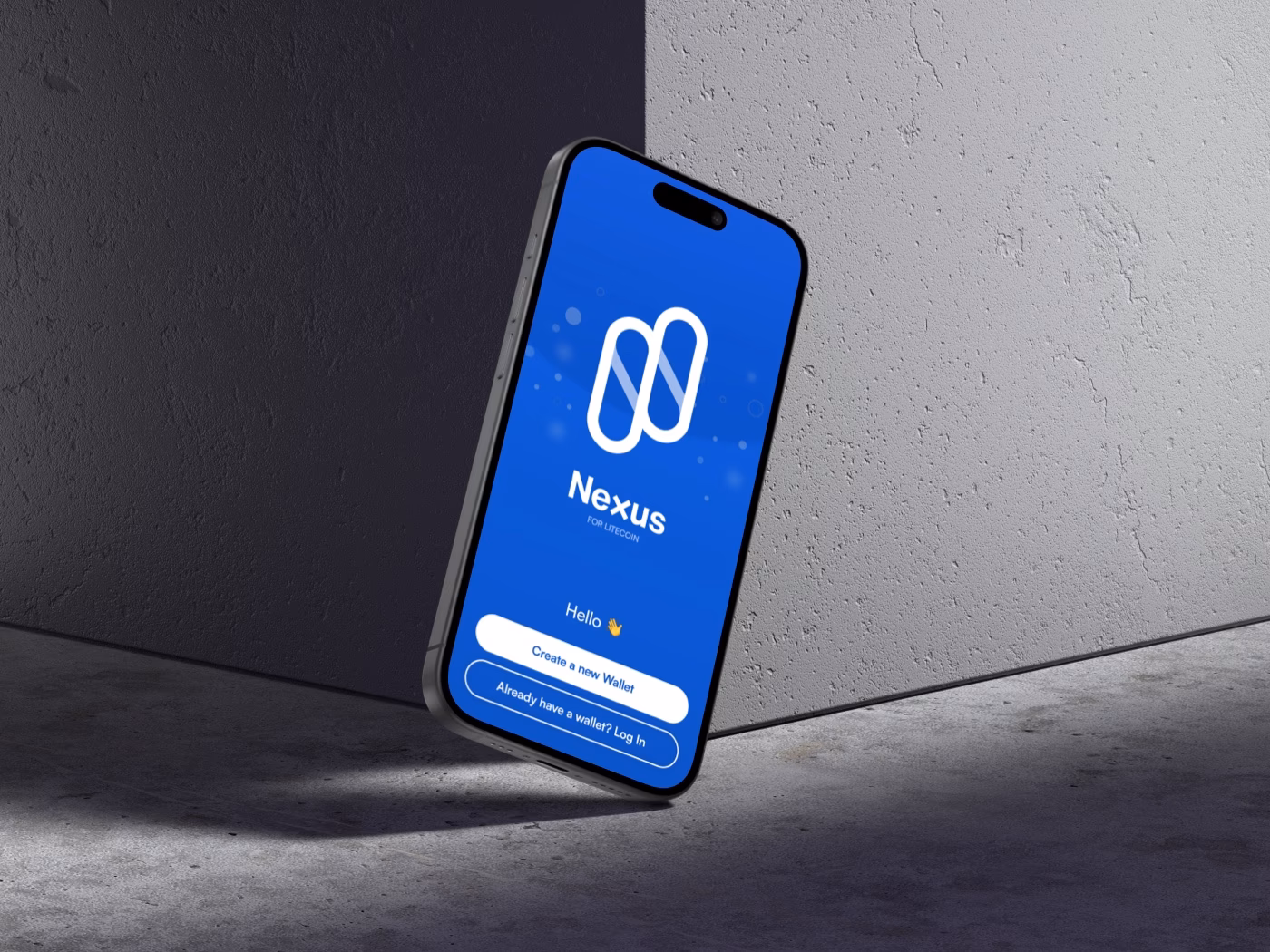 How do I store Litecoin?