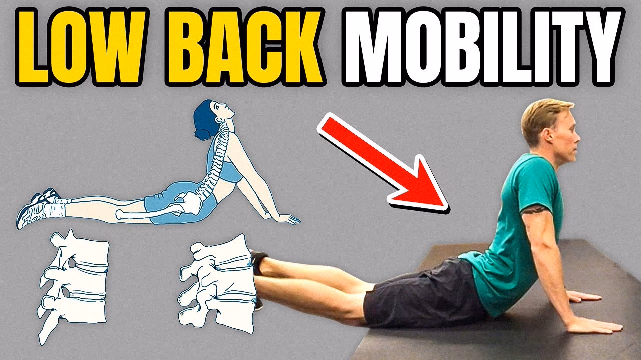 What are the best exercises for lower back pain?