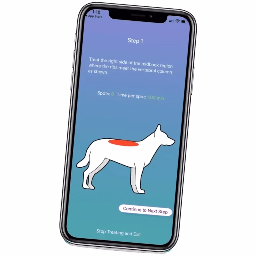 Where can I rent iPhones for my business?