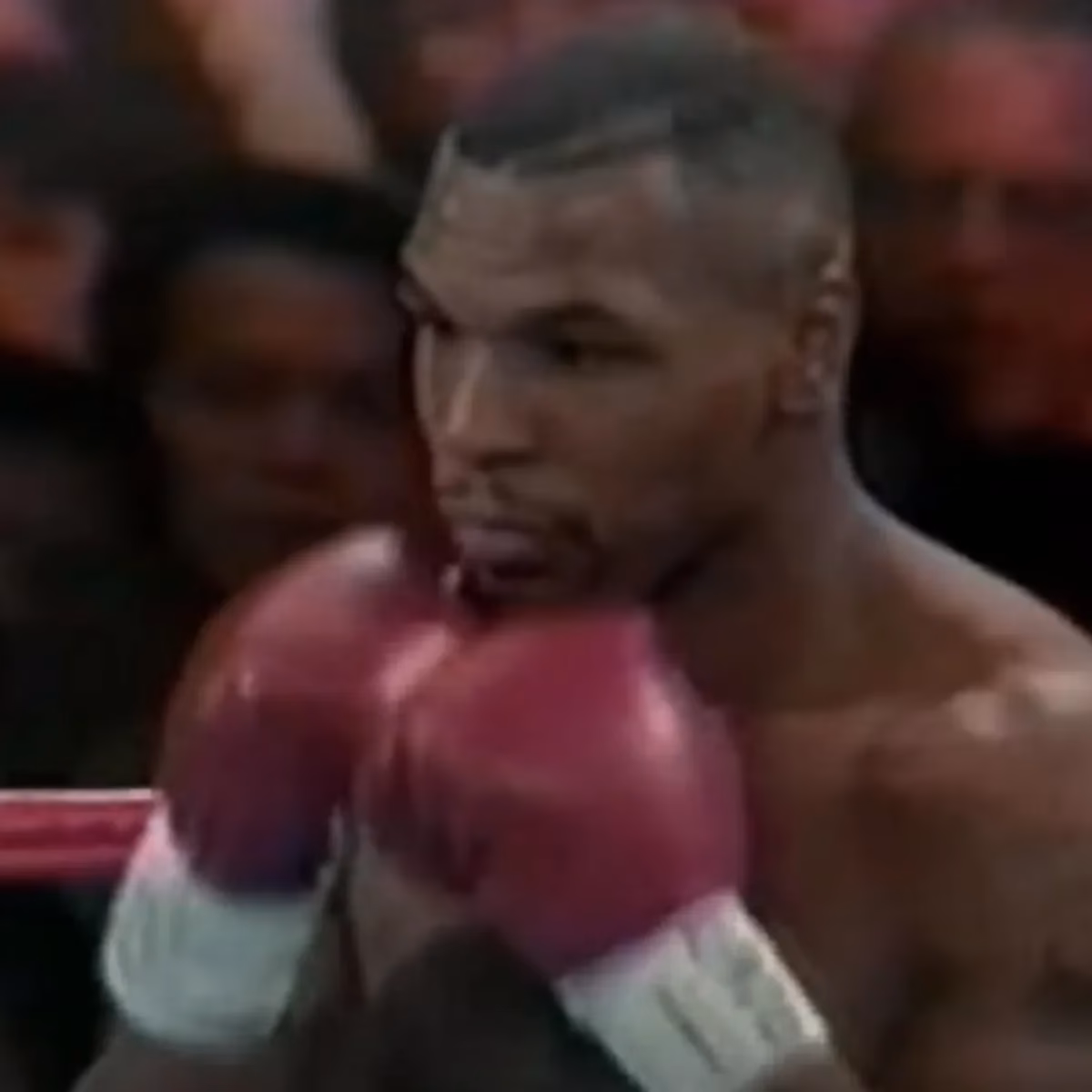 Did a 'Time Traveller' Record Tyson & Peter McNeeley fight with a smartphone?