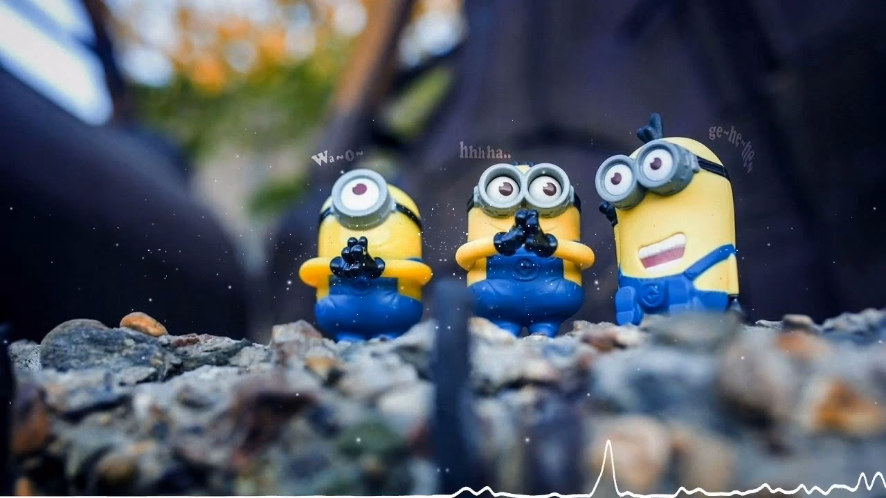 Which ringtone formats are supported by minions?