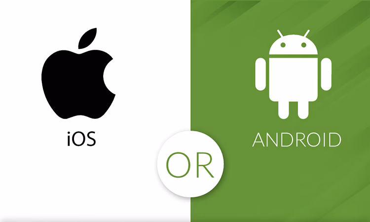 What is cross-platform app development?