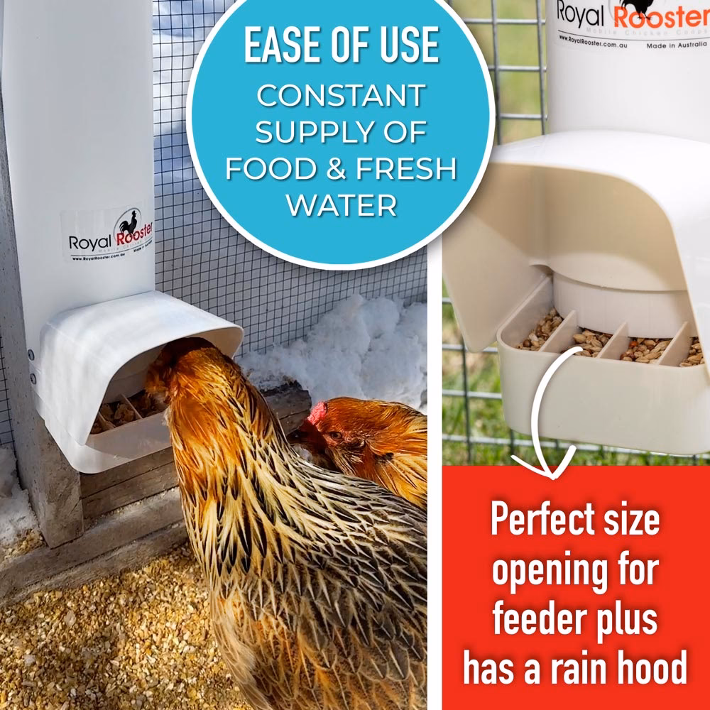 What is an Aussie chicken tractor?