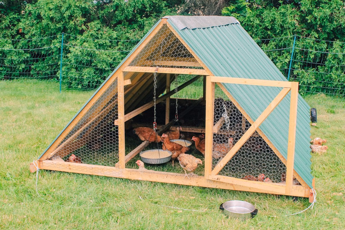 What is a portable chicken coop?