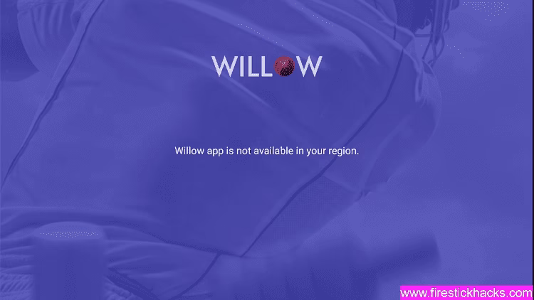Why should you watch cricket on Willow?