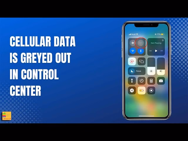 Why is the mobile data option greyed out?