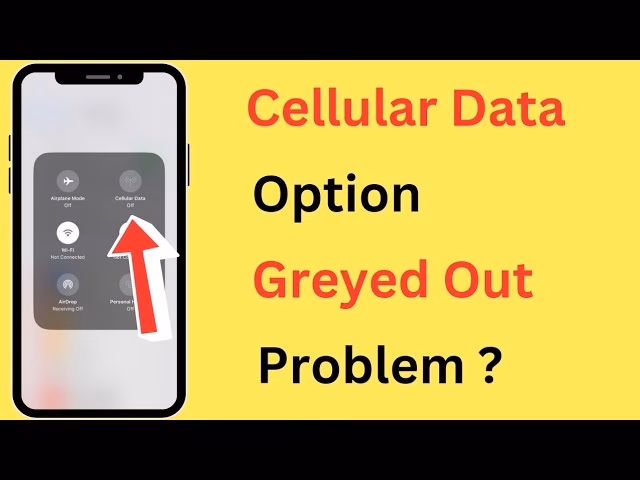 Why is the mobile data option greyed out?