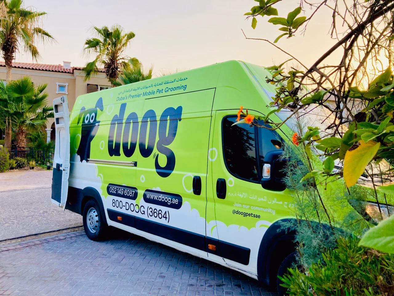 Who is the best dog grooming in Dubailand?