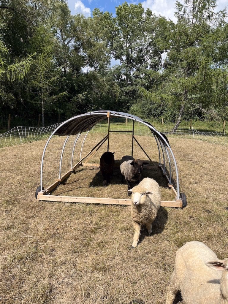 What is a mobile sheep shelter?