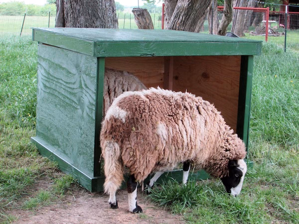 What is a mobile sheep shelter?