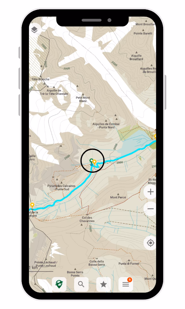 What happens if you link to Google Maps on iOS?