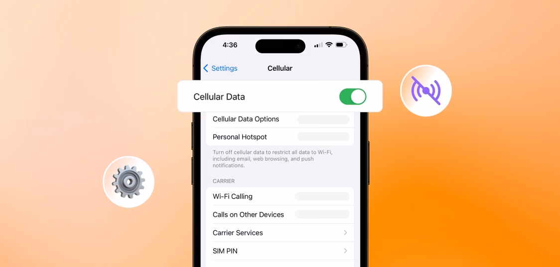 What are mobile network States?