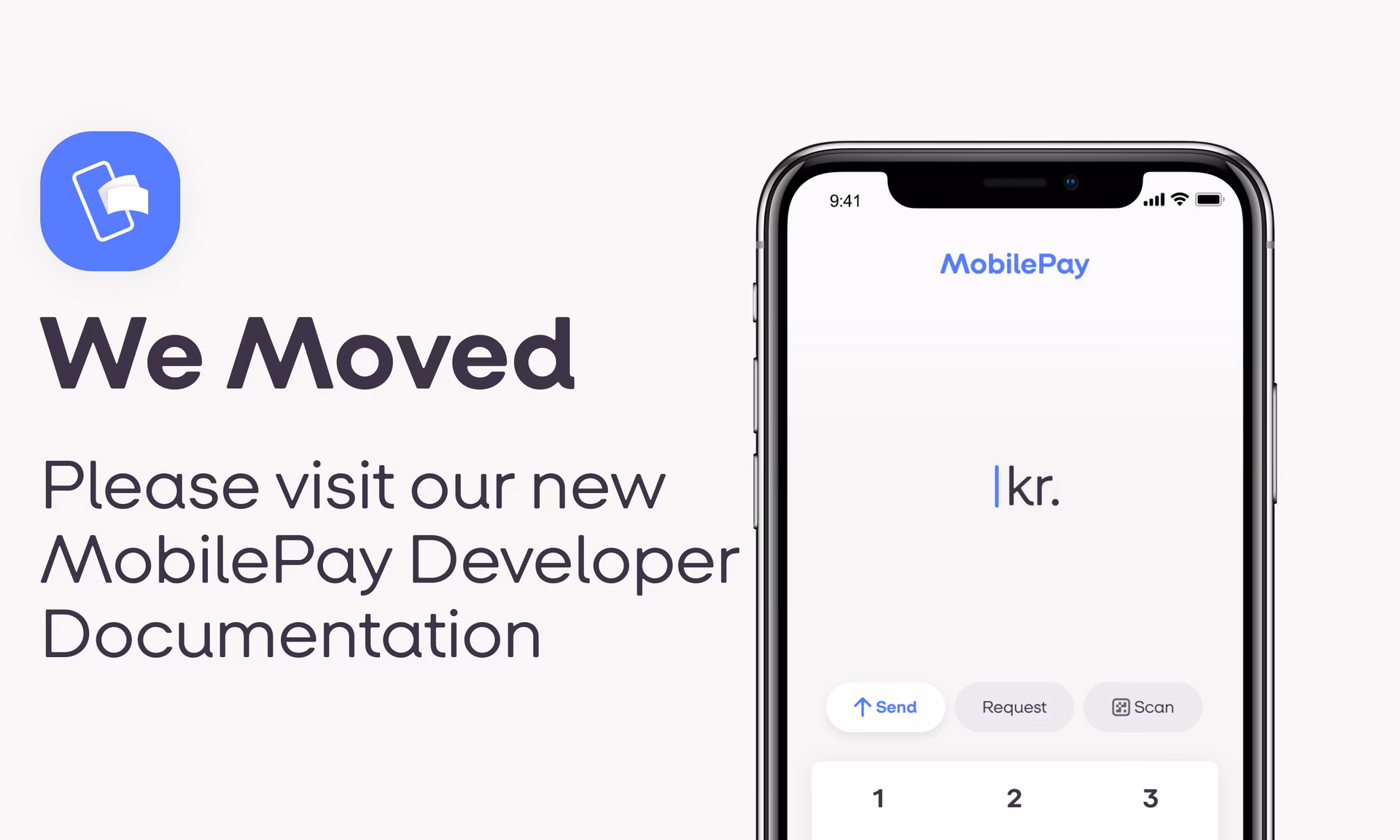 What is the Google Pay API?