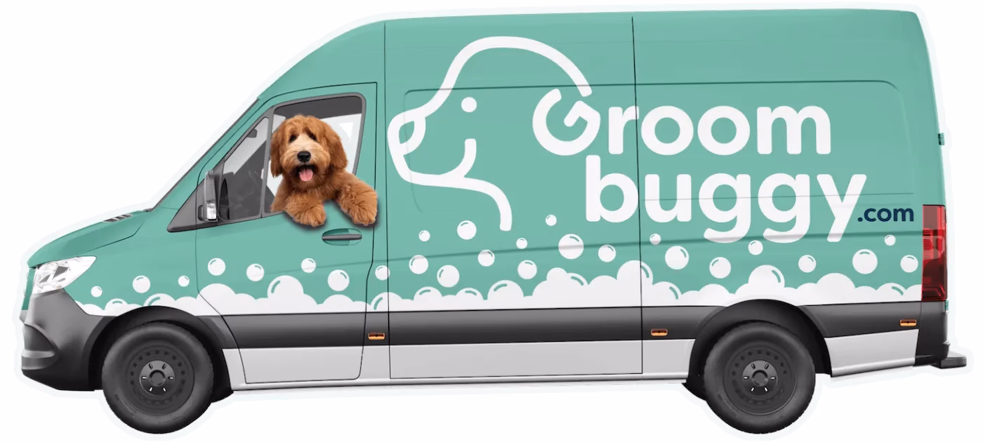 What do you need to know about Mobile Pet grooming services?