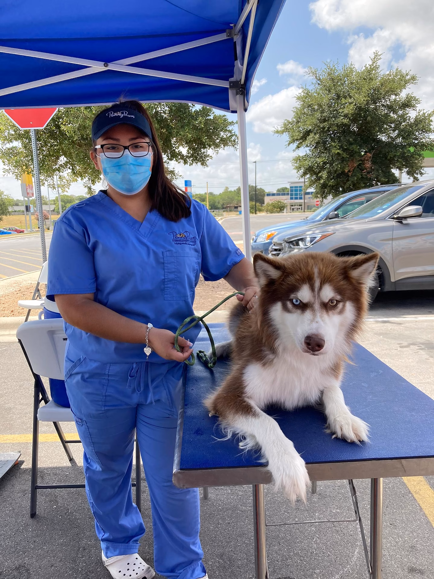 What is pet shot express?