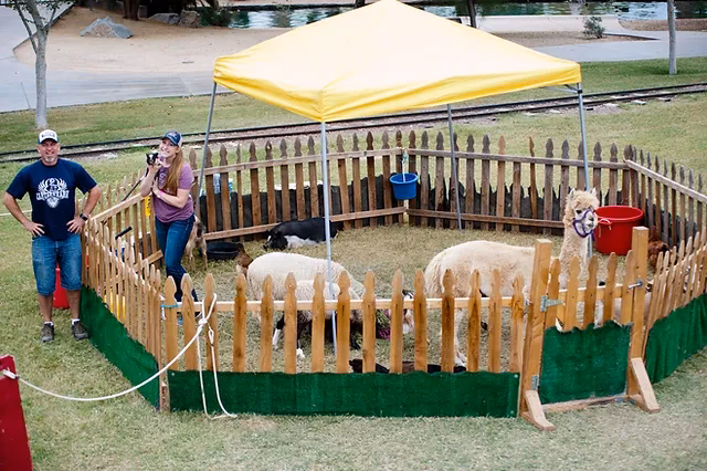 Does animal club offer a mobile petting zoo near me?