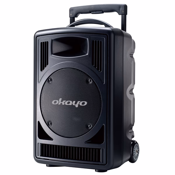 Why do you need a mobile sound system?