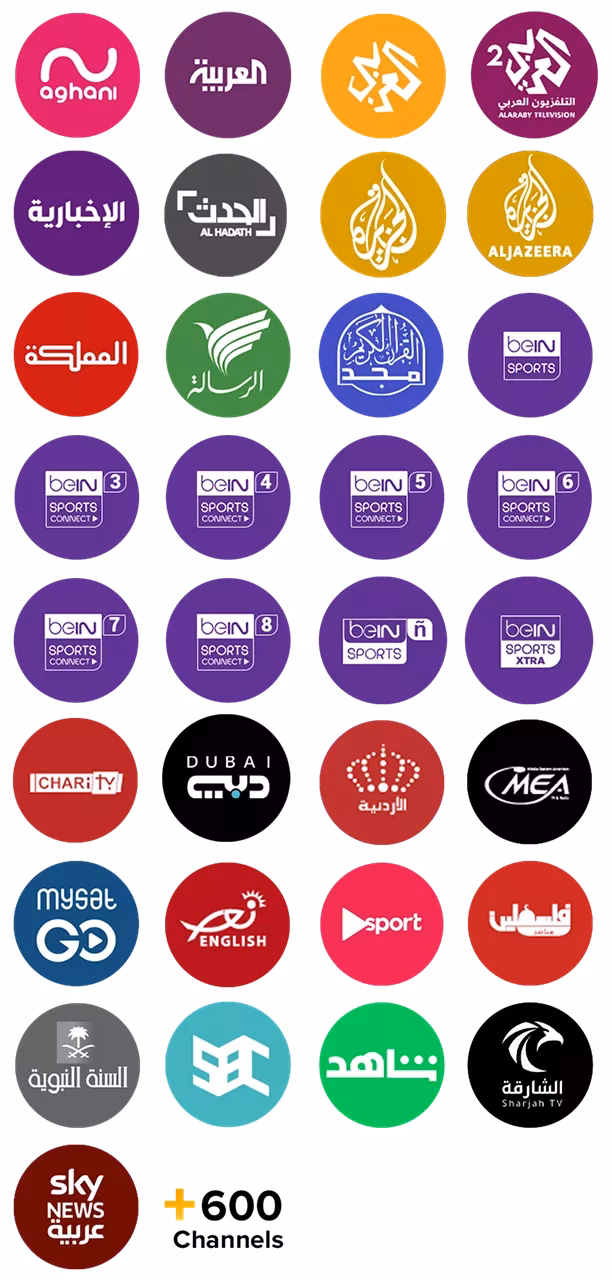 How many Arabic TV channels & radio stations are there?