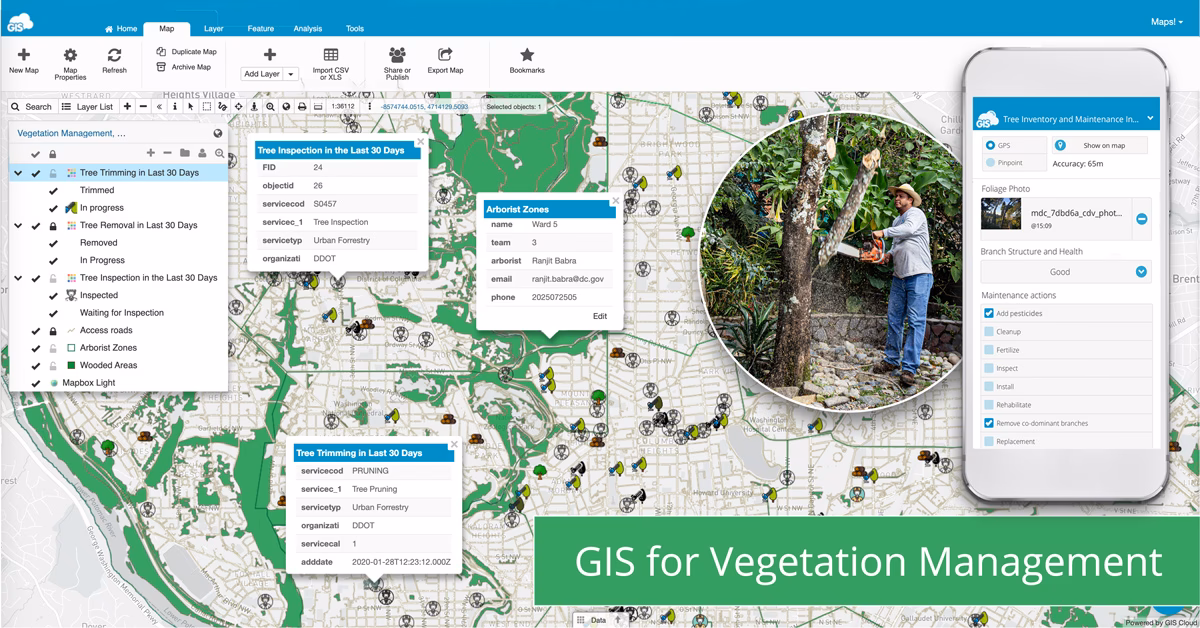 What is the vegetation pattern telling us in Doana mobile dunes?