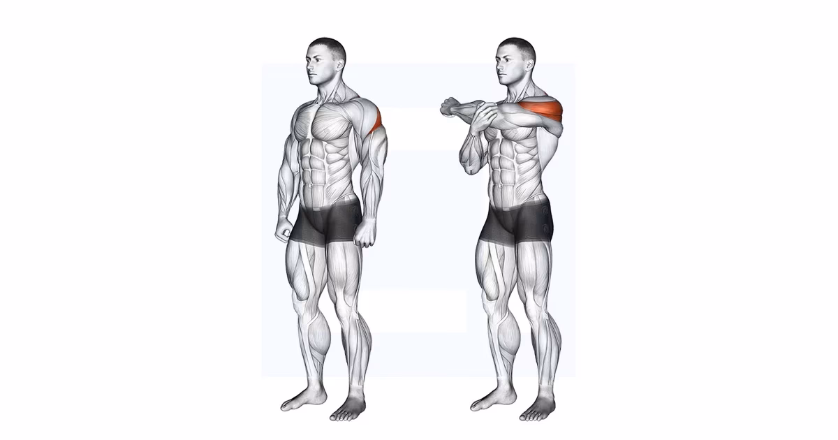 Do deltoid stretches make a difference?