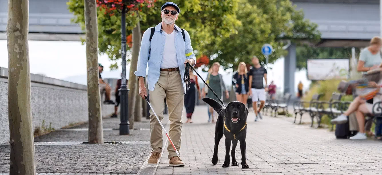 What does an orientation & mobility specialist do?