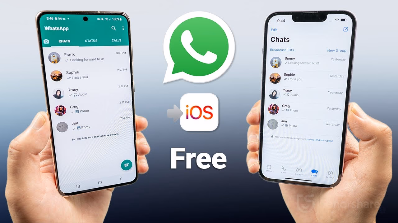 How do I transfer WhatsApp to a new Android device?