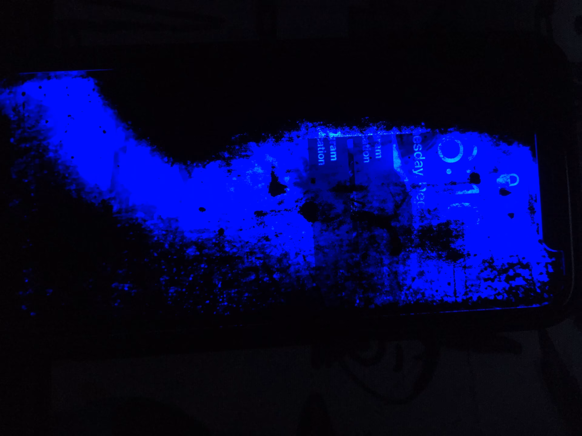 Why does my iPhone have a blue screen?