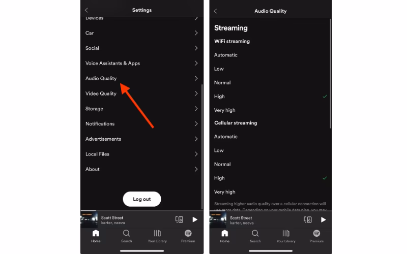 How to get rid of Spotify music problems?