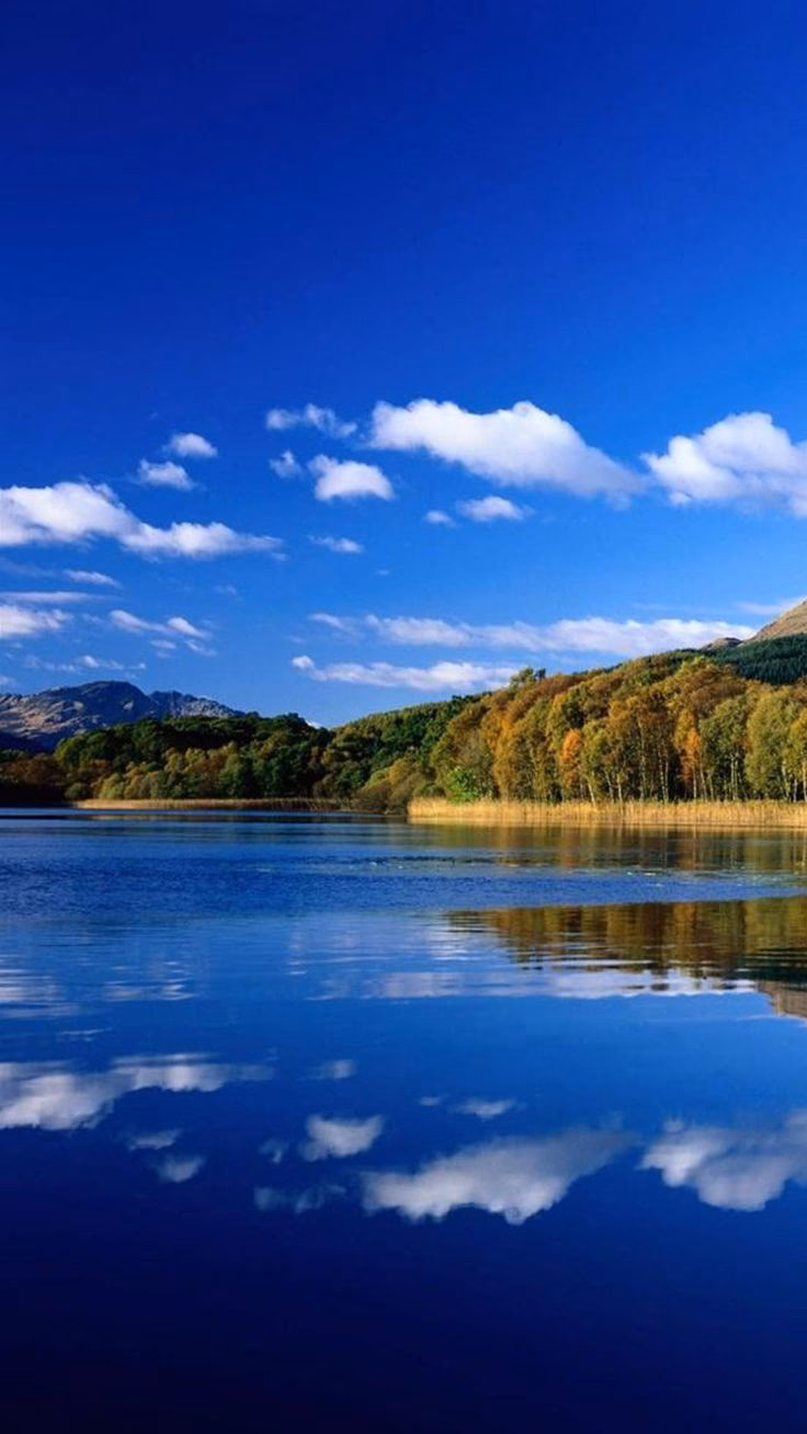 Where can I find the best wallpapers in Hong Kong?