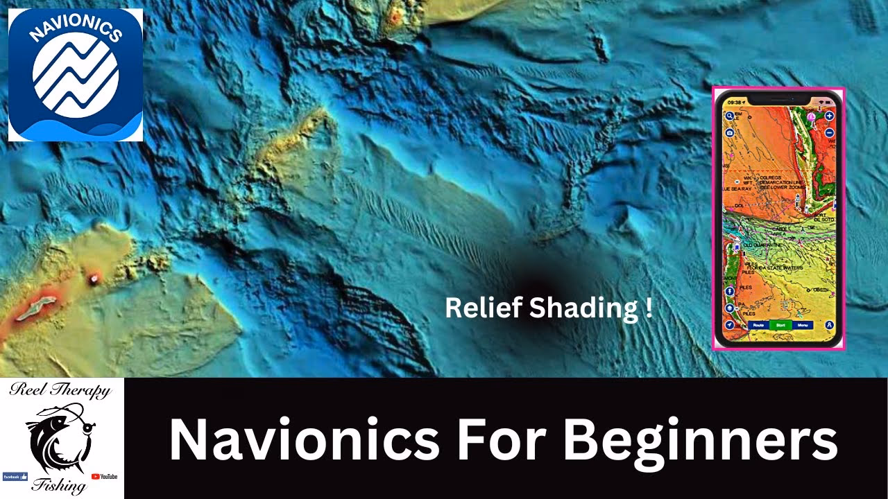 Does Navionics need to access the Internet?