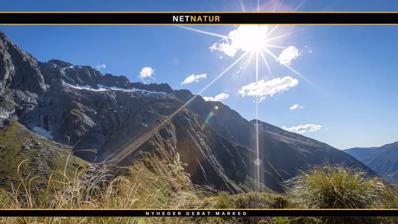 Does New Zealand have a consulate in Copenhagen?