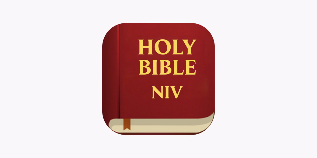 What is the NIV live (new international version) audio Bible?