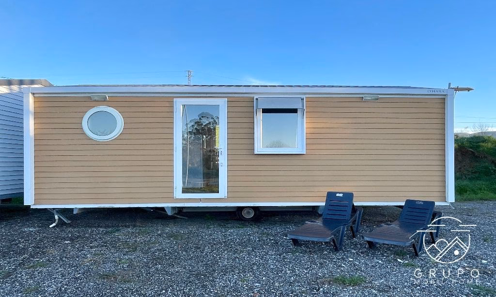 What's new at O'Hara?