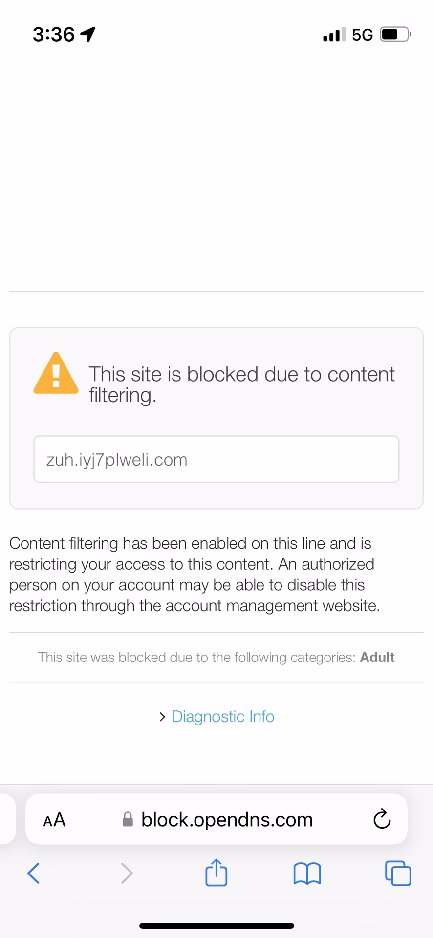 How to use OpenDNS on iPhone/iPod Touch via Wi-Fi Connection?