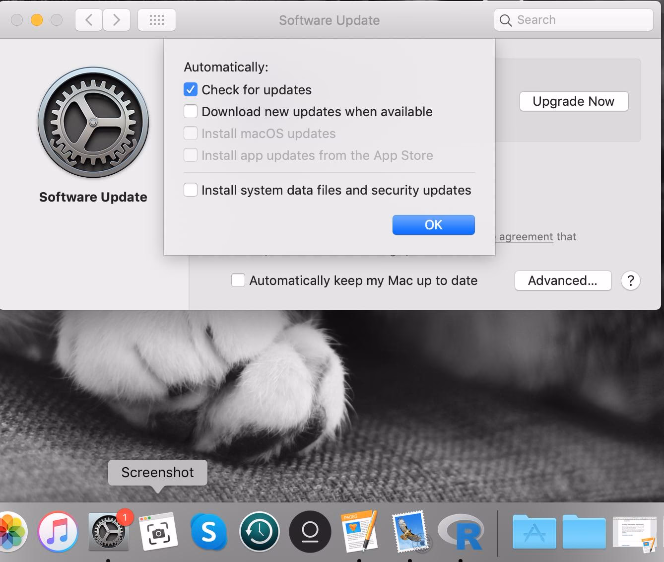 Will macOS Mojave misbehave in the first few months?