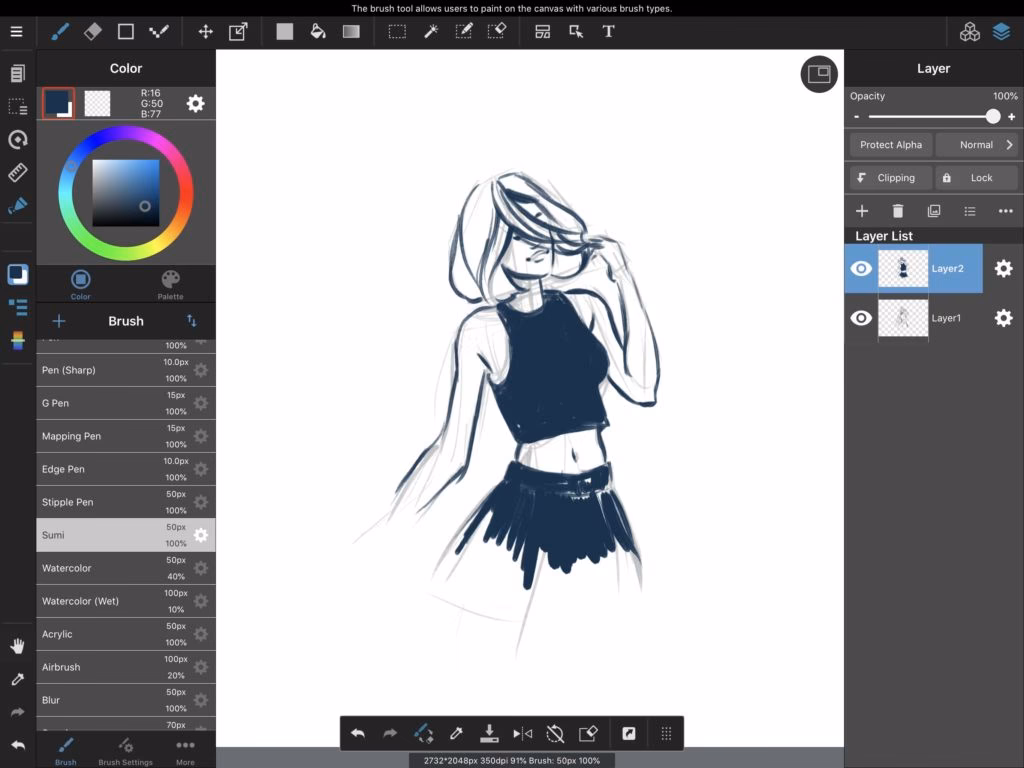 What is paint MS version?