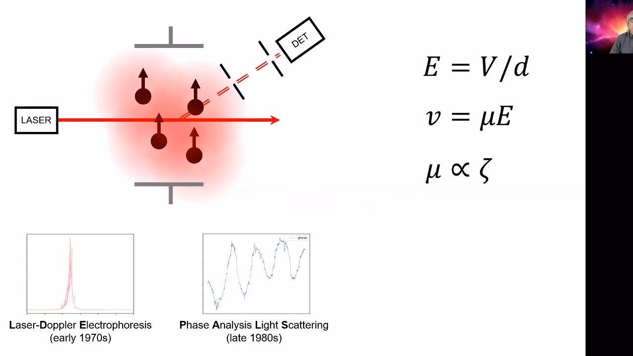 What is Electrophoretic Light Scattering (ELS)?