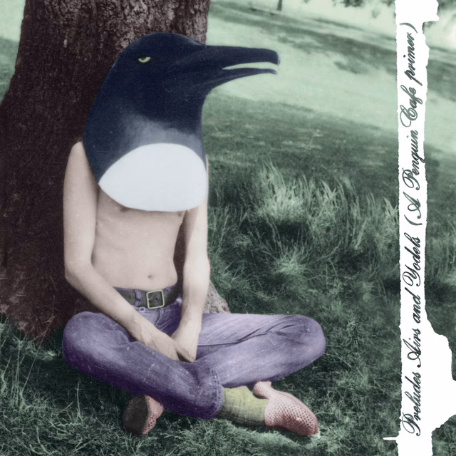 Who is the Penguin Cafe Orchestra?