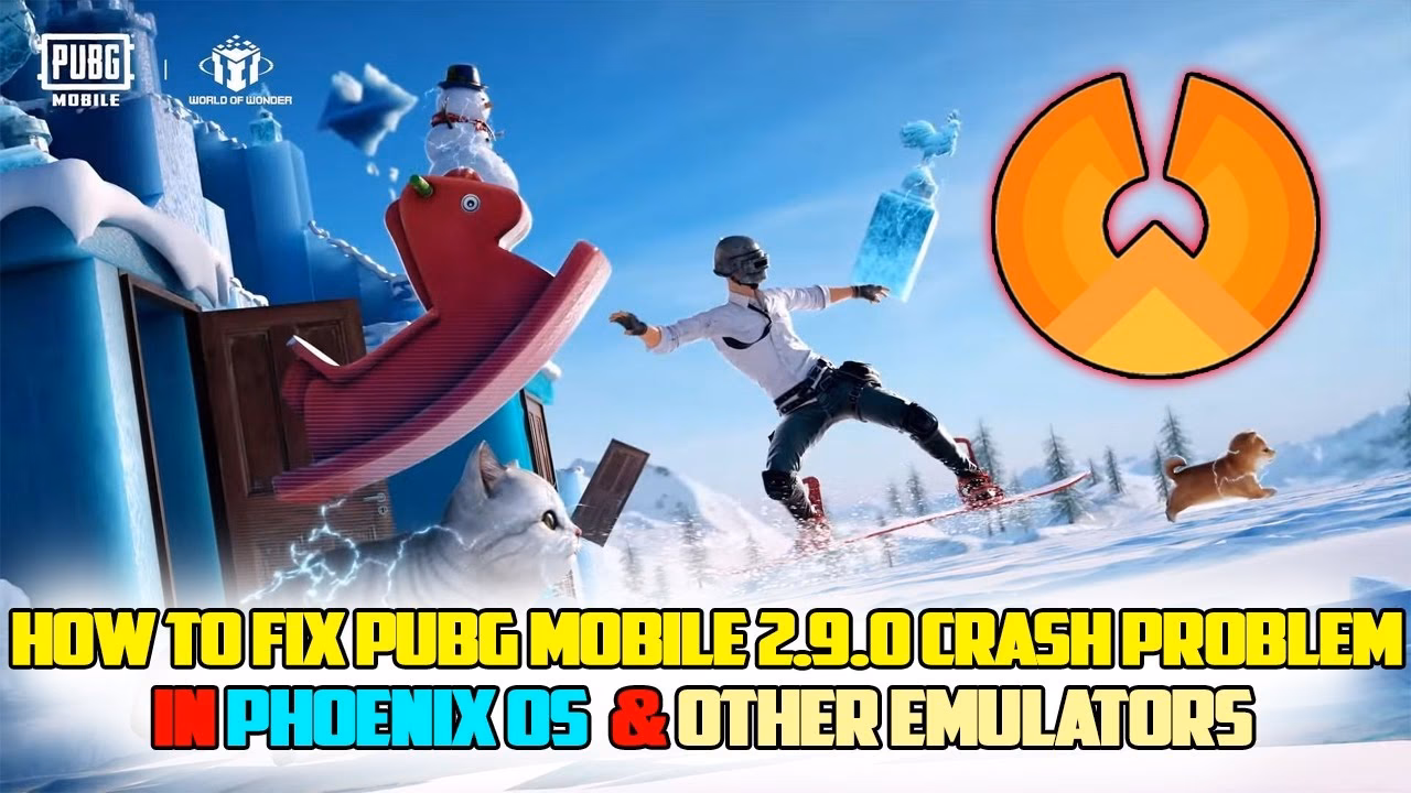 Is there a PUBG unofficial build?