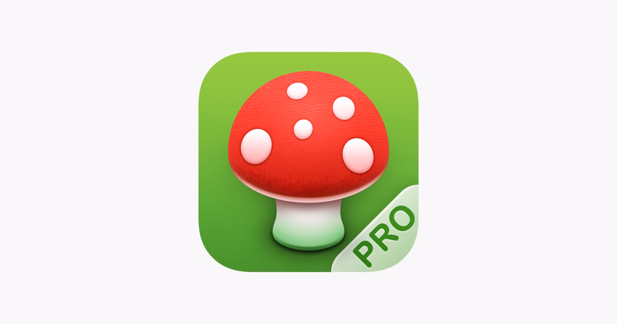 Wie viele Pilzbilder sind in der App gespeichert?