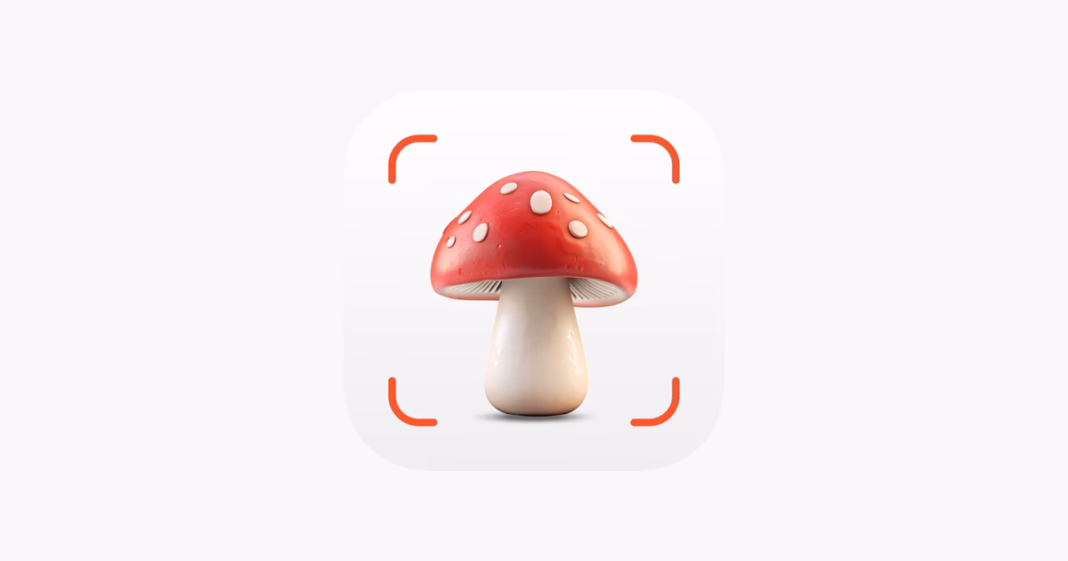 Was ist die neue Pilz-App?