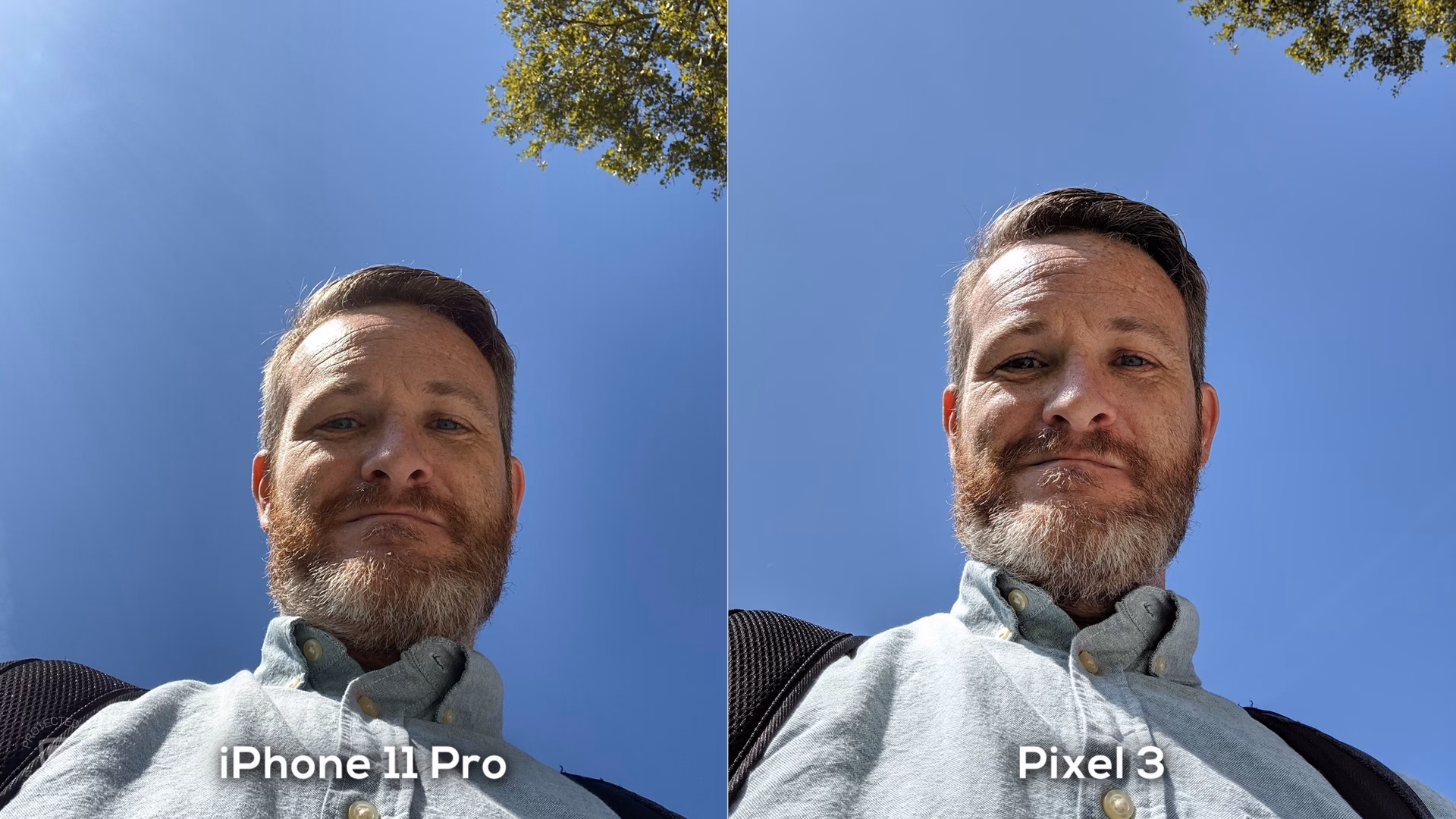 Is the iPhone 11 Pro better than the Pixel 3?