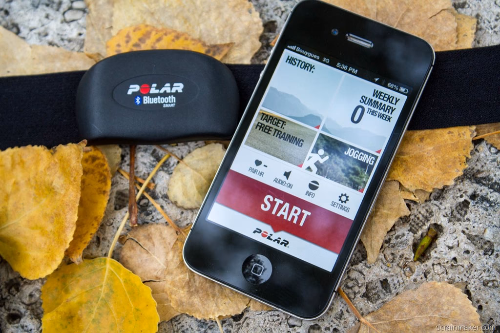 What is a Polar WearLink & coded transmitter 31?