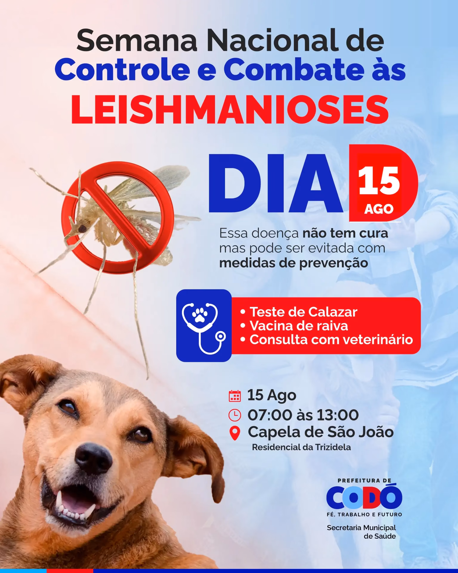 Qual é o horário de atendimento ao contribuinte em Codó?