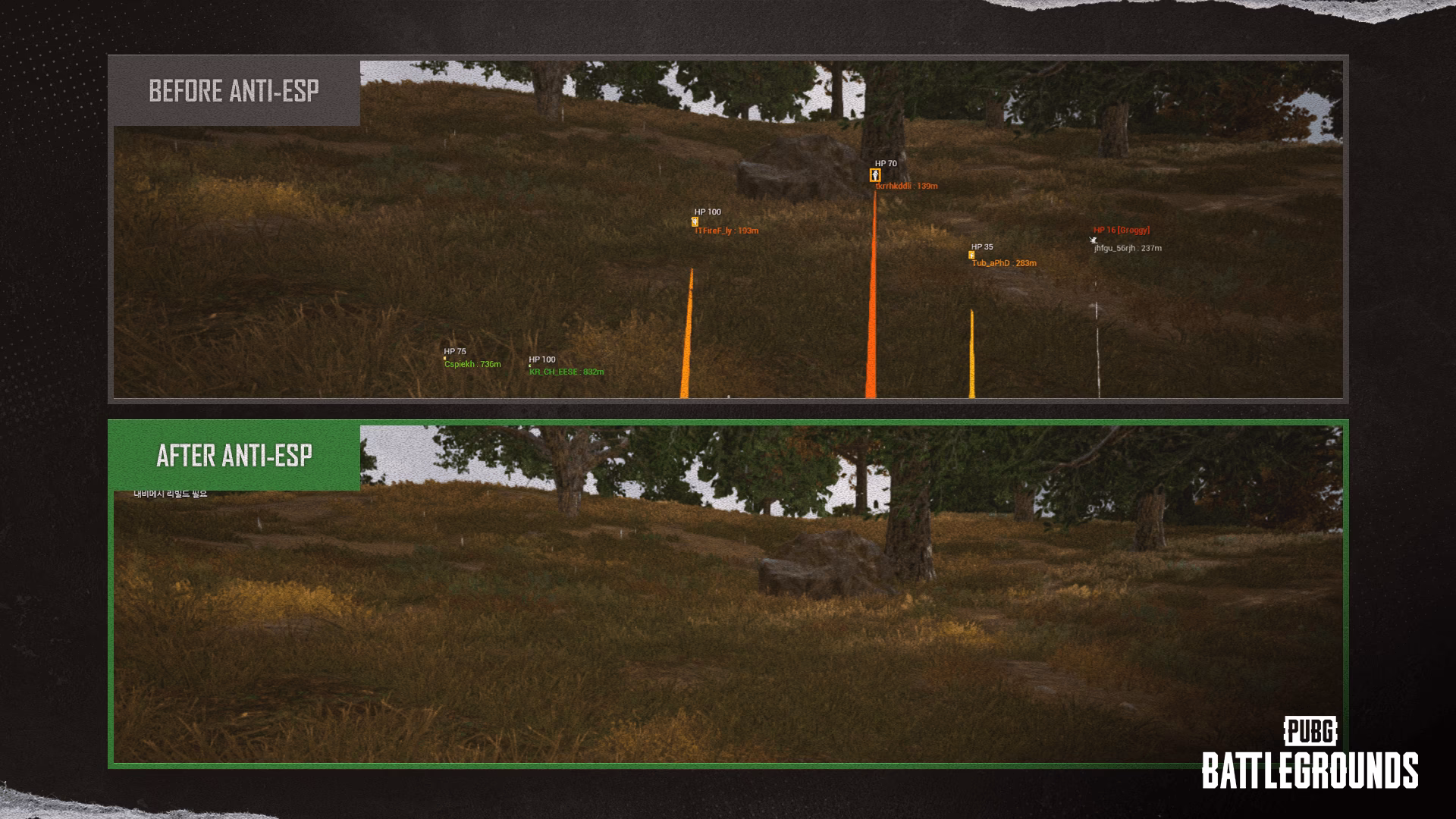 Does PUBG anti-cheat work?