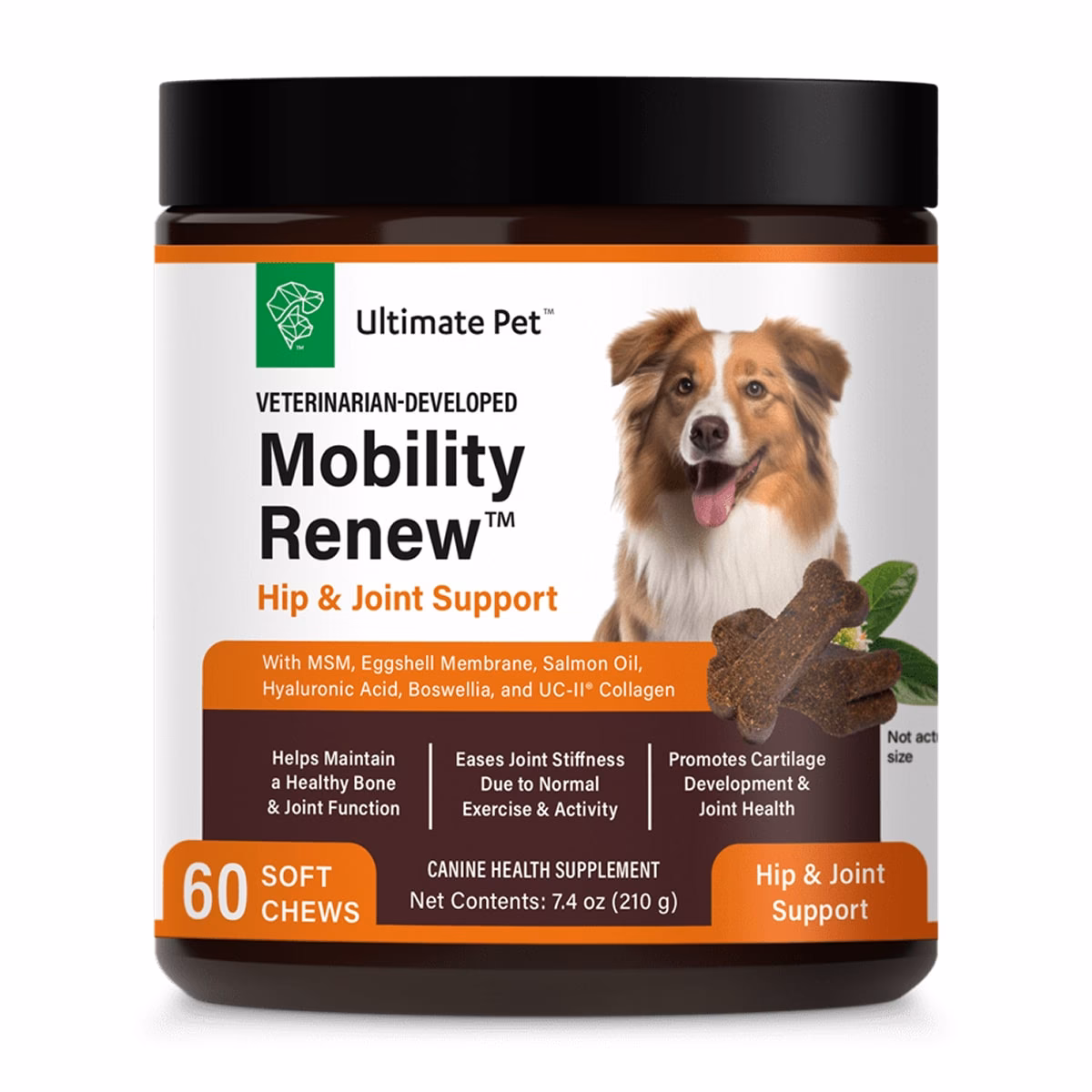 What is New Mobility?